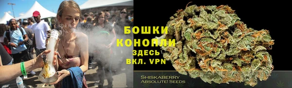 гидра Аркадак