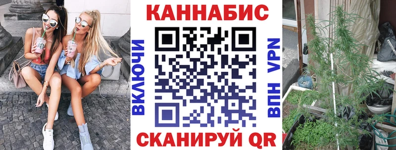 Бошки Шишки конопля  Темрюк 